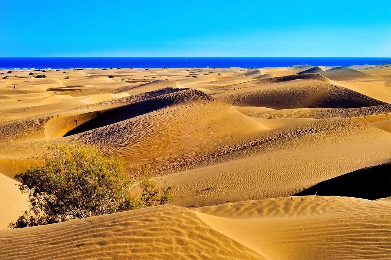 California Only Men Bungalows Maspalomas